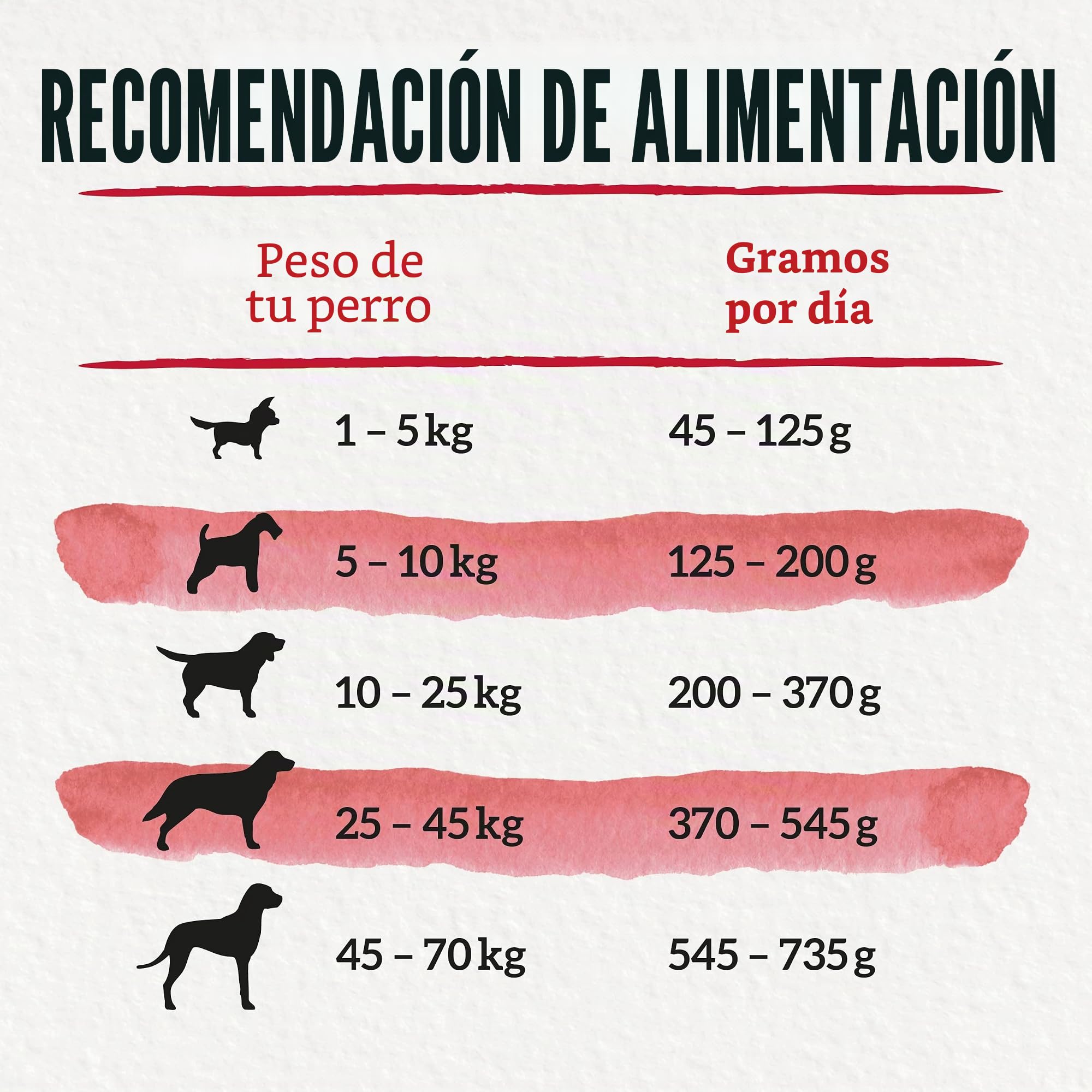 Beneful Comida Seca Original para Perros, con Carne de Vacuno y Verduras de jardín, 1 Unidad (1 x 12 kg)