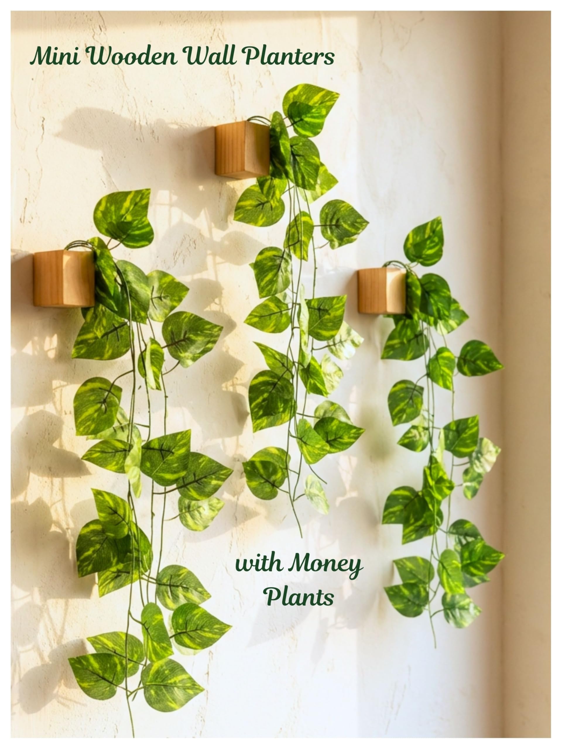 Bombay Greens Wooden Wall Planter with Artificial Money Plant | Eco-Friendly Hanging Wall Décor for Living Room, Office, Kitchen & Home with Double Sided Tape - Set of 3-image-45