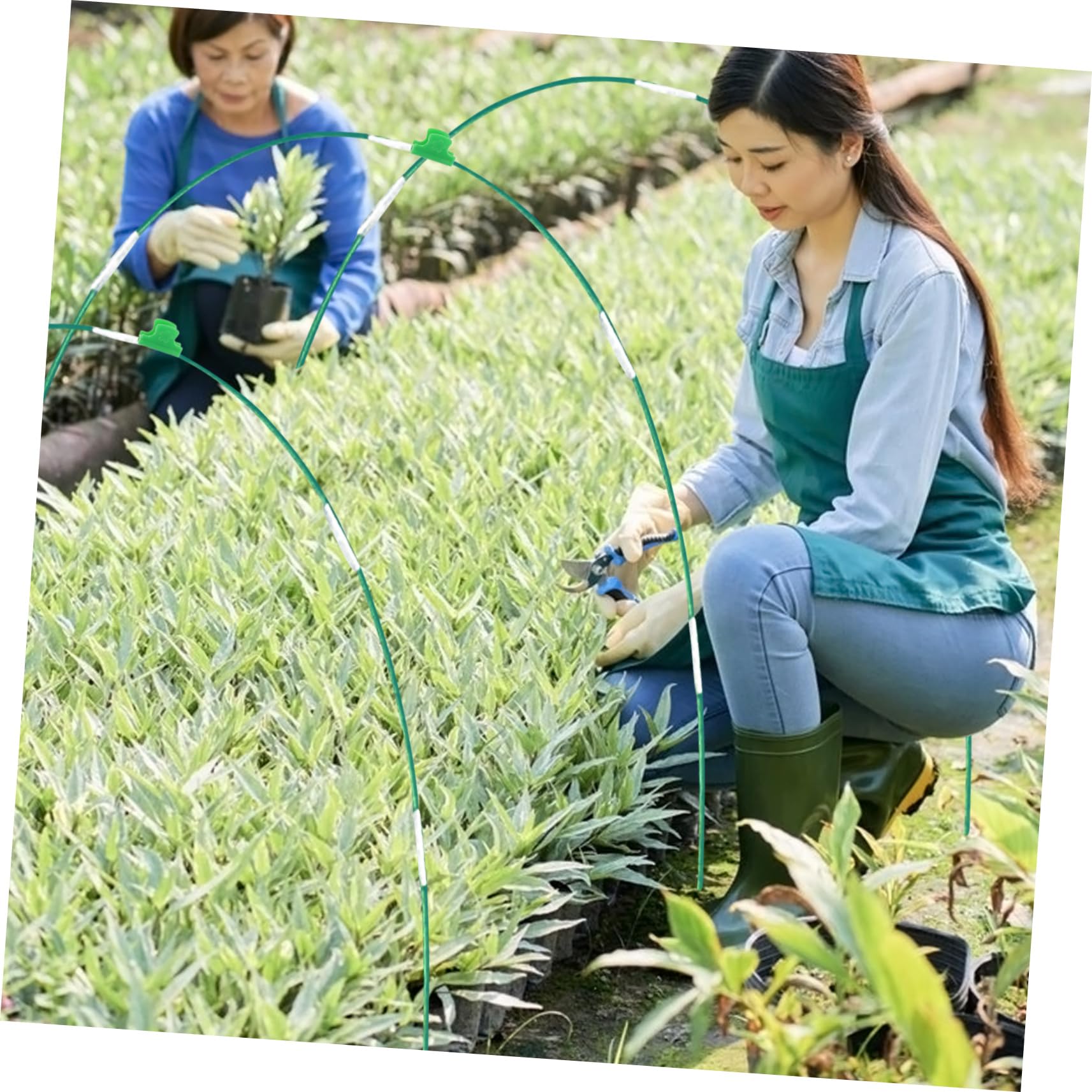Kit de Red de Jardín Aros de Fibra de Vidrio y Hierro | Verde, Permite el Paso Luz, Instalación Sencilla, Diseño Adaptable, Protección para Flores y Cultivos