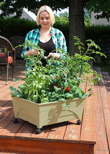 Miniatura 7 de Emsco Grupo Bountiful caja de cultivo, cama elevada para cosechar, Verde