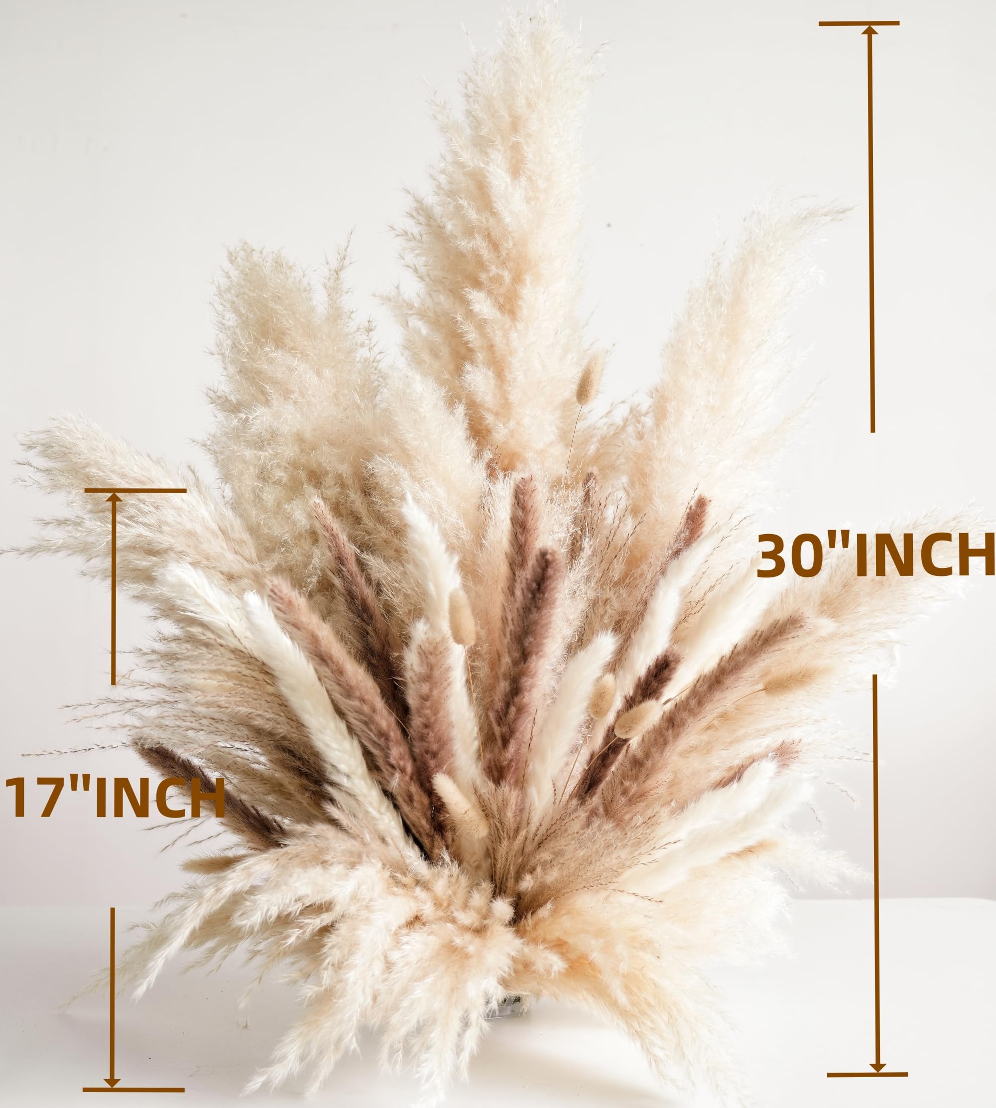 Grande herbe de la pampa décorative pour vase de sol – Grande herbe de la pampa décorative de qualité supérieure, tiges d'herbe de la pampa séchée, herbe de la pampa naturelle avec décoration beige et