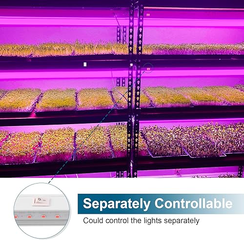 Miniatura 4 de Barrina Luces de cultivo T5 de 5000 K color blanco 2 pies paquete de 8 unidades y rosa de 2 pies paquete de 8 luces LED de crecimiento para plantas
