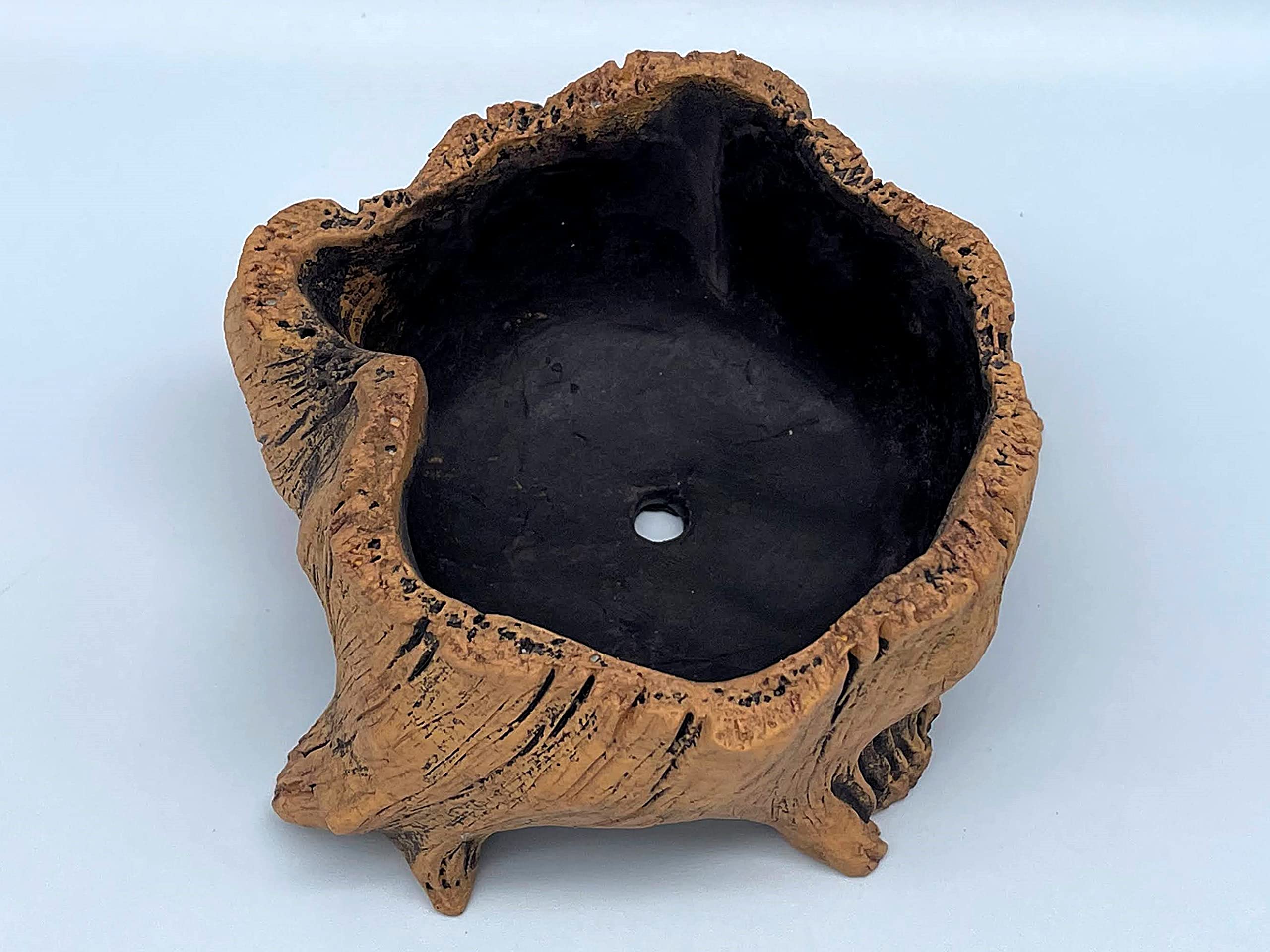 Amazon.co.jp: 木の切り株風プランター 人工流木・彫刻・多肉植物