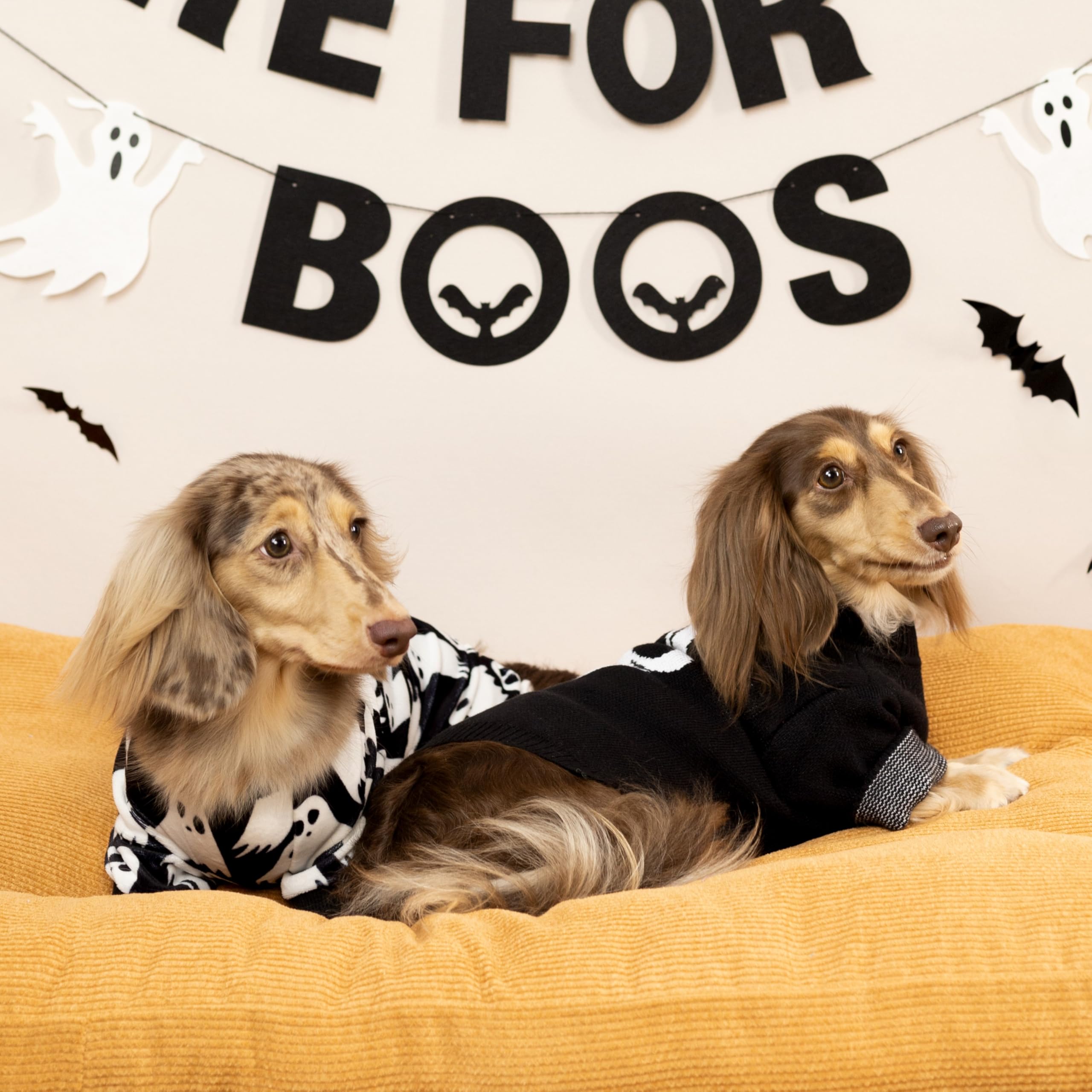 Halloween Hunde Pyjama - Geister Einteiler Für Kleine Hunde