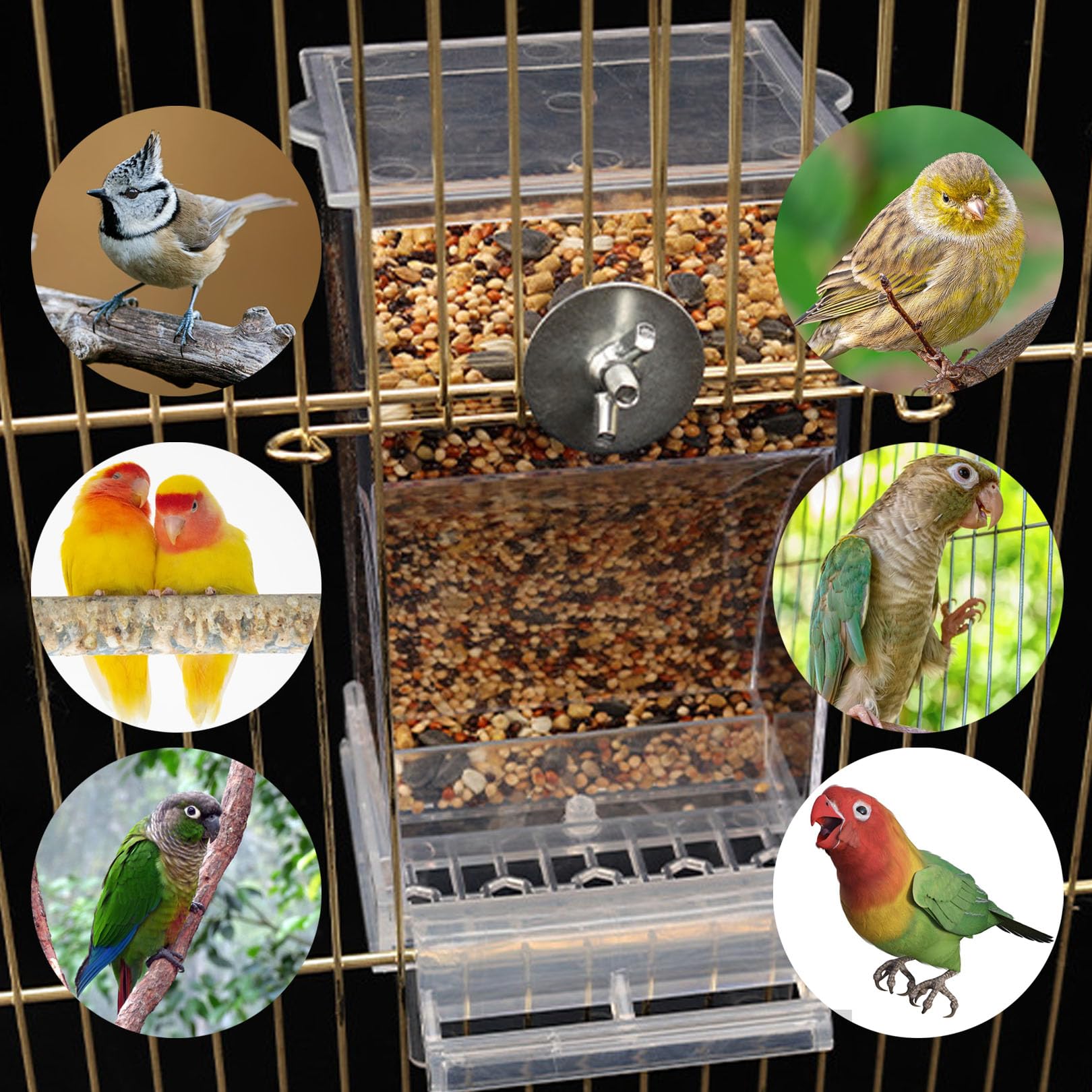 Juego de dispensador de agua para pájaros sin ensuciar, alimentador automático transparente para loros, contenedor de alimentos de acrílico, accesorios para pájaros pequeños, periquitos canarios,