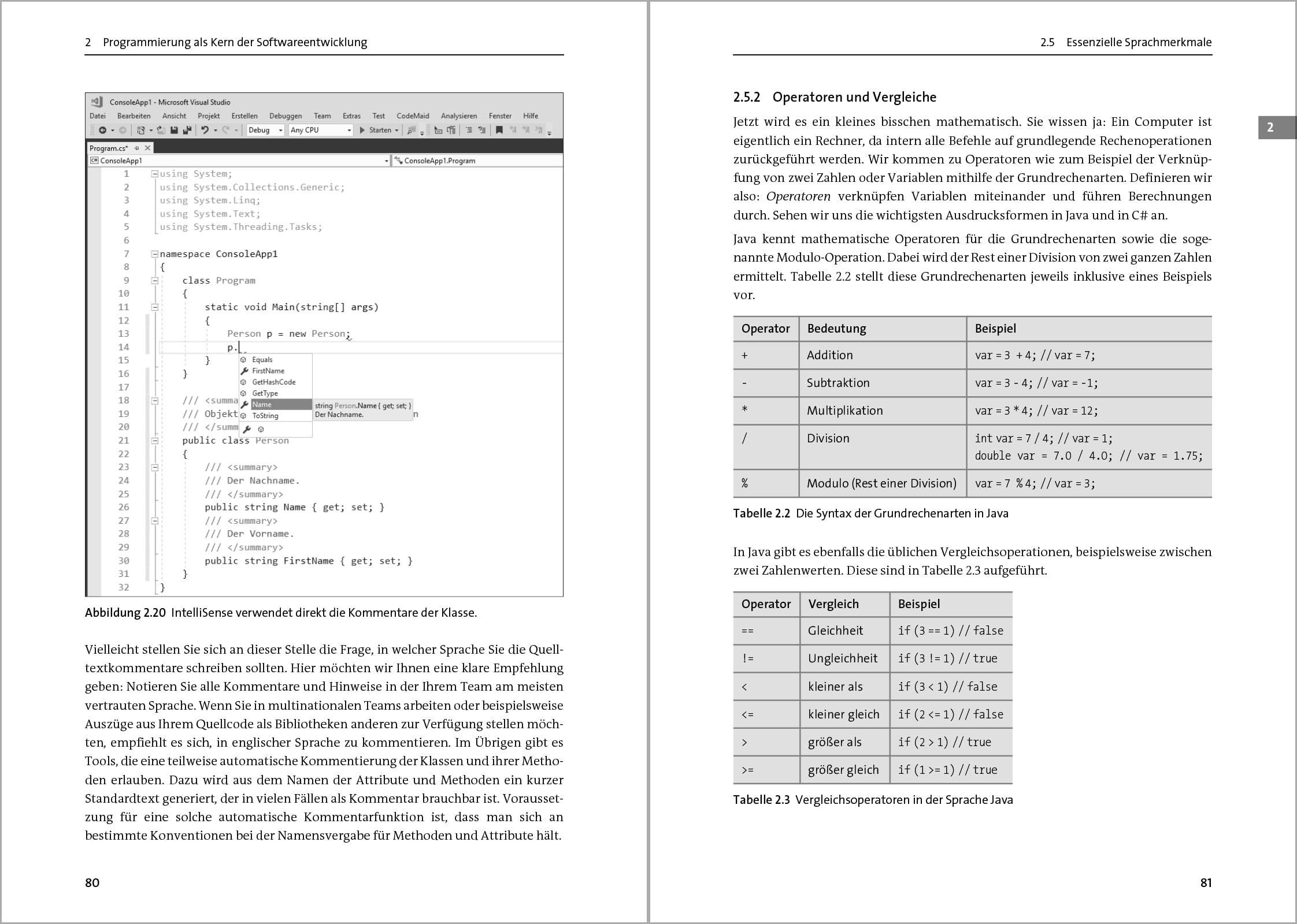 Handbuch für Softwareentwickler: Das Standardwerk für professionelles Software Engineering
