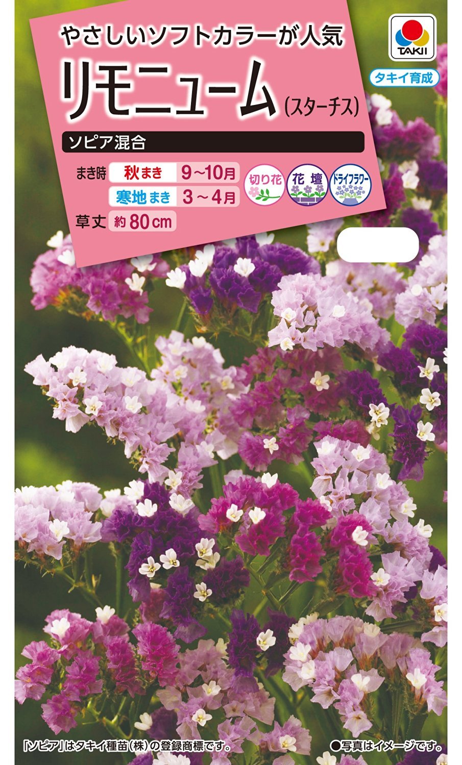 /専用/MABATAKI美雨 yoakeブレスレット スターチスニ種と霞草二種 専用/MABATAKI美雨 yoakeブレスレット スターチスニ種と霞草二種