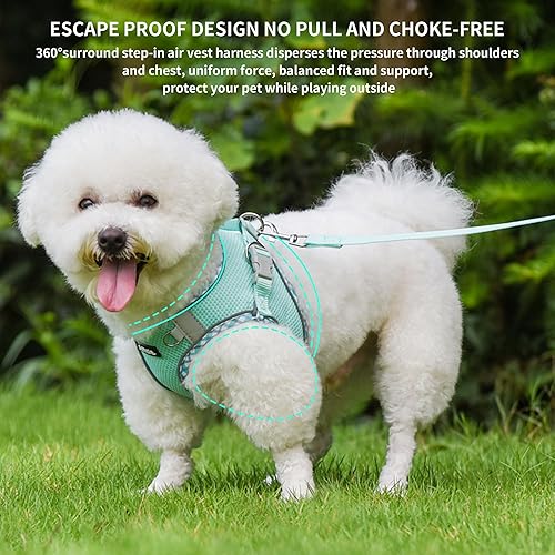Miniatura 4 de AIITLE Arnés para perro pequeño, arnés sin tirones con correa para mascotas, arnés ajustable para perro con malla transpirable, chaleco reflectante