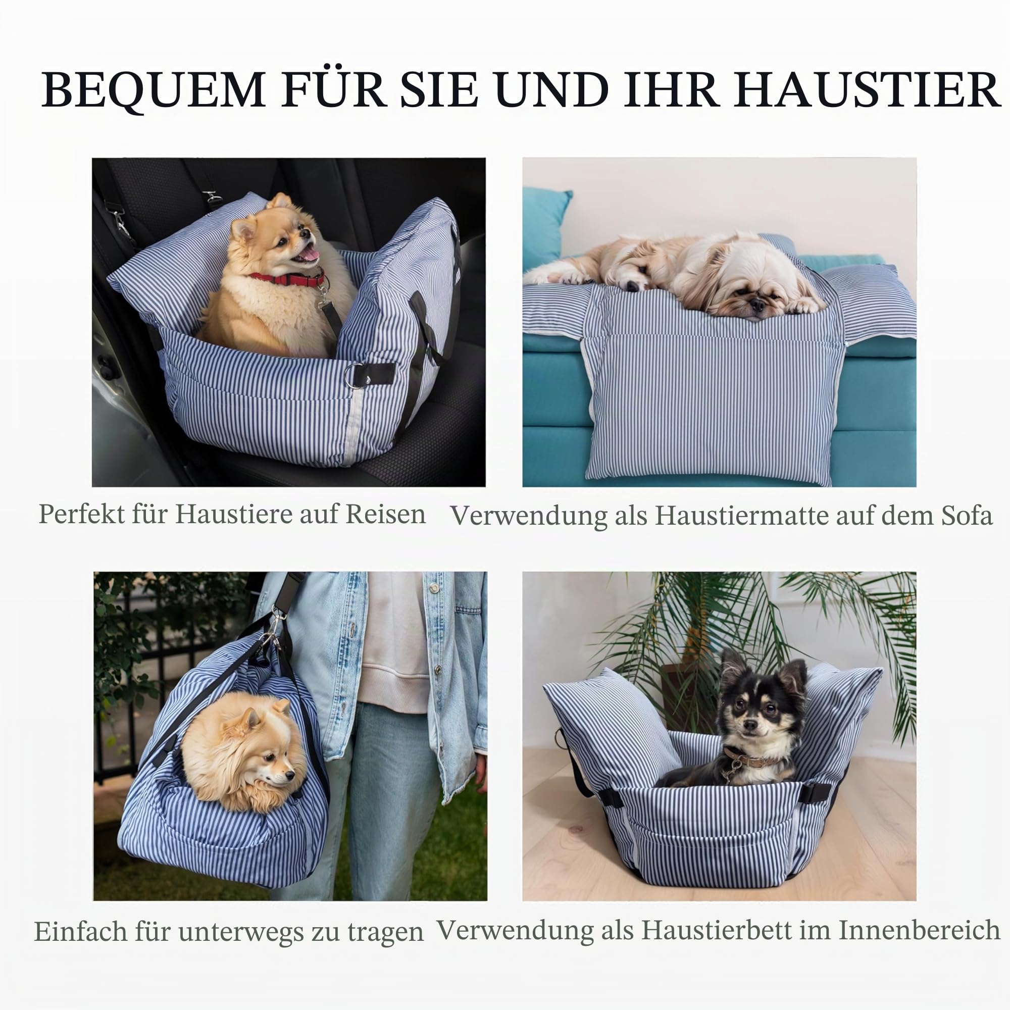 Sicherer Autositz für kleine Hunde, 6 kg – Autokorb mit Gurt, rutschfester Basis & Taschen – abnehmbarer und waschbarer Bezug