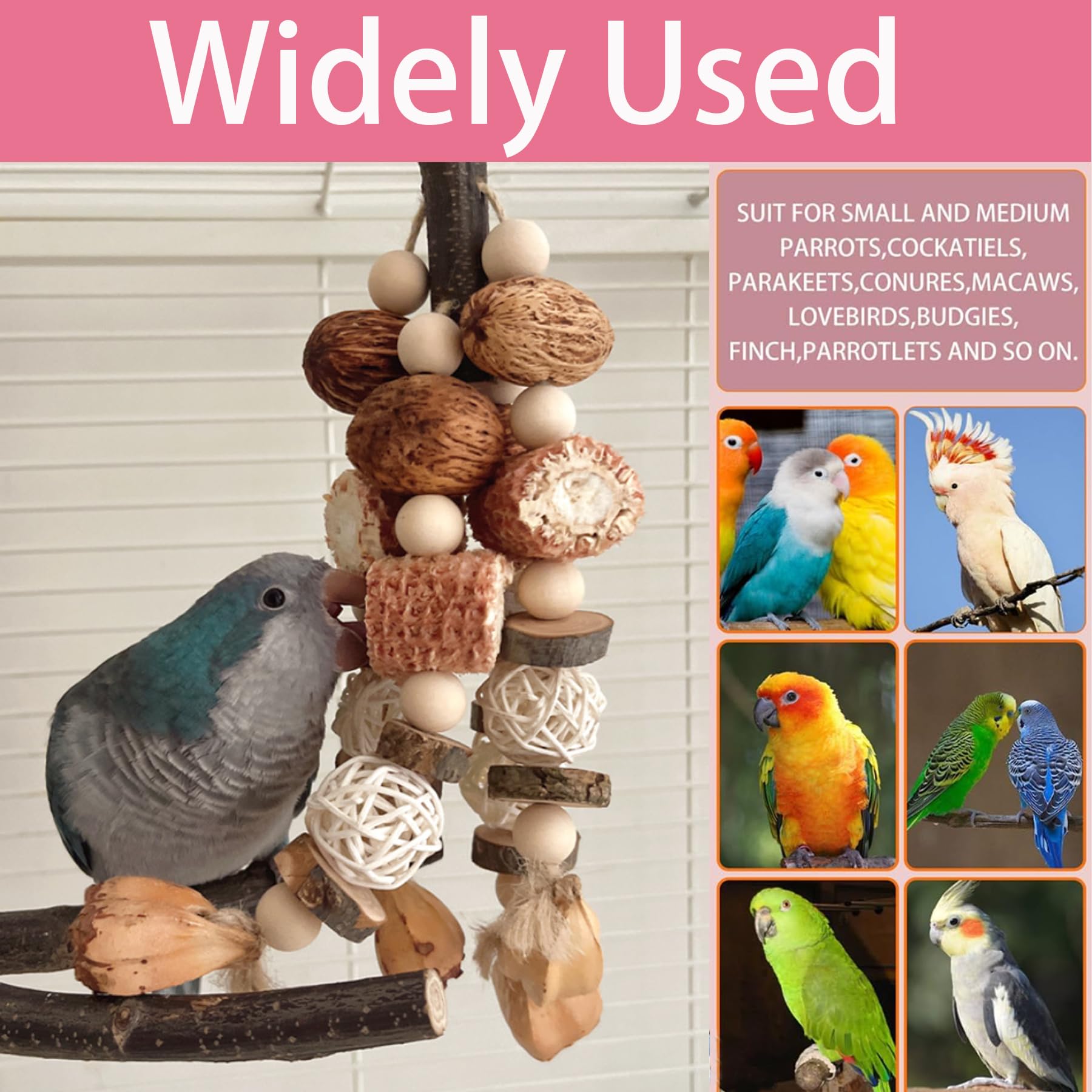 Lulullaby Bird Chewing Toy, Parrot Toy, Corn Cob Hanging Cage Toy - Image 4