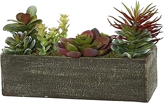 Vickerman Everyday 5.25