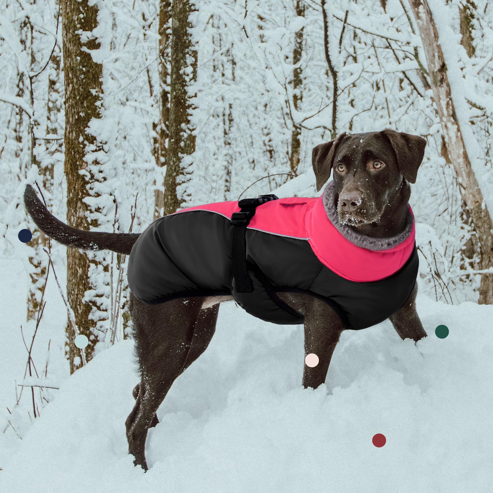 IECOii Abrigo extra cálido para perro, reflectante, ajustable, abrigo de invierno para perro con hebilla, chaqueta de forro polar con cuello alto para clima frío, abrigo de invierno suave para perros