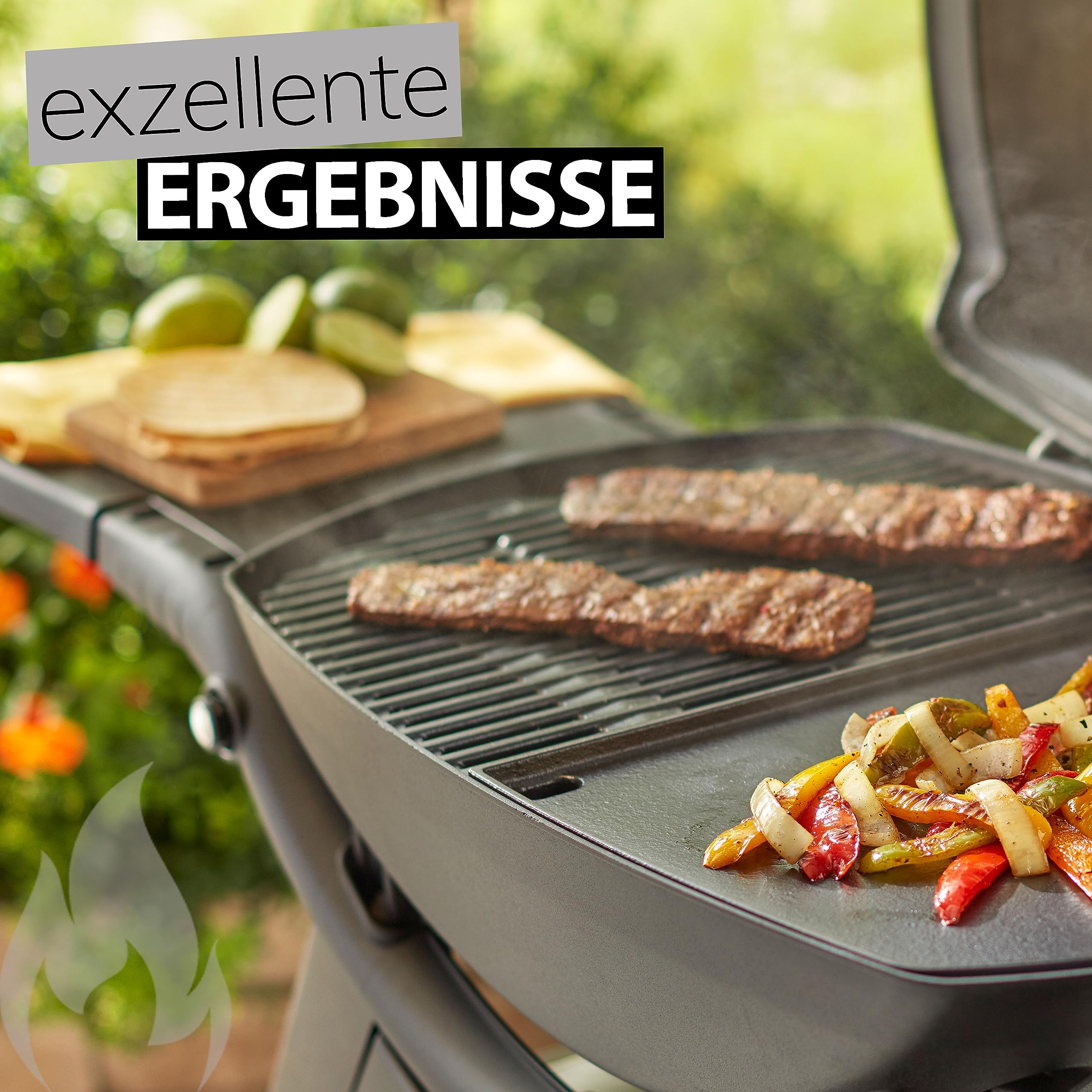 Weber Gasgrill Zubehör Ersatzteile Elektronische Zünder mit Batterie (1 Stück AAA) für Q1200 / Q120 und Q220 / Q2200