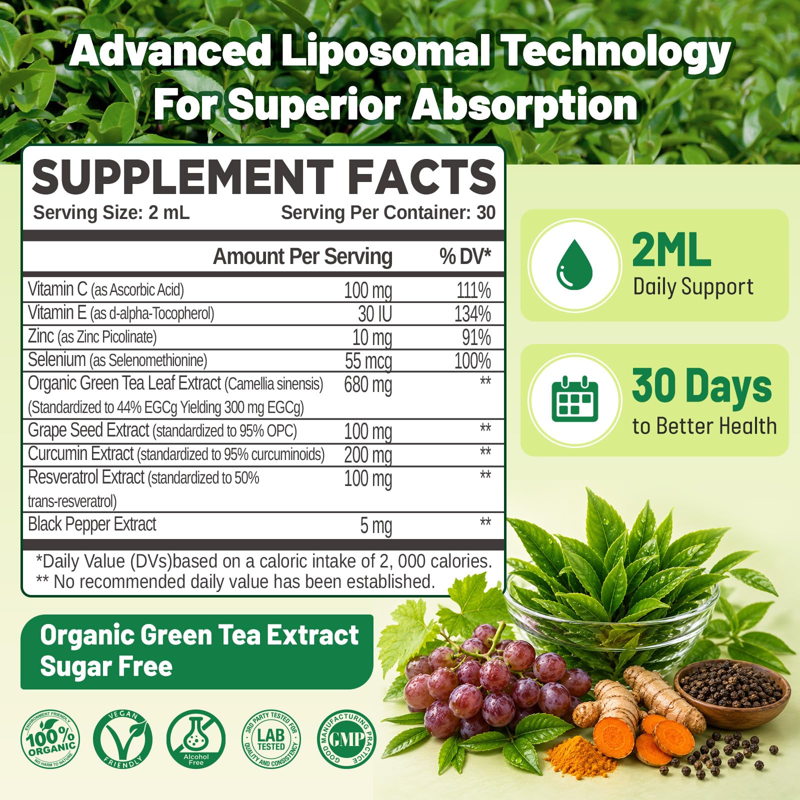 Liposomal Green Tea Extract Liquid, Organic Green Tea Supplement — Amazon image 2