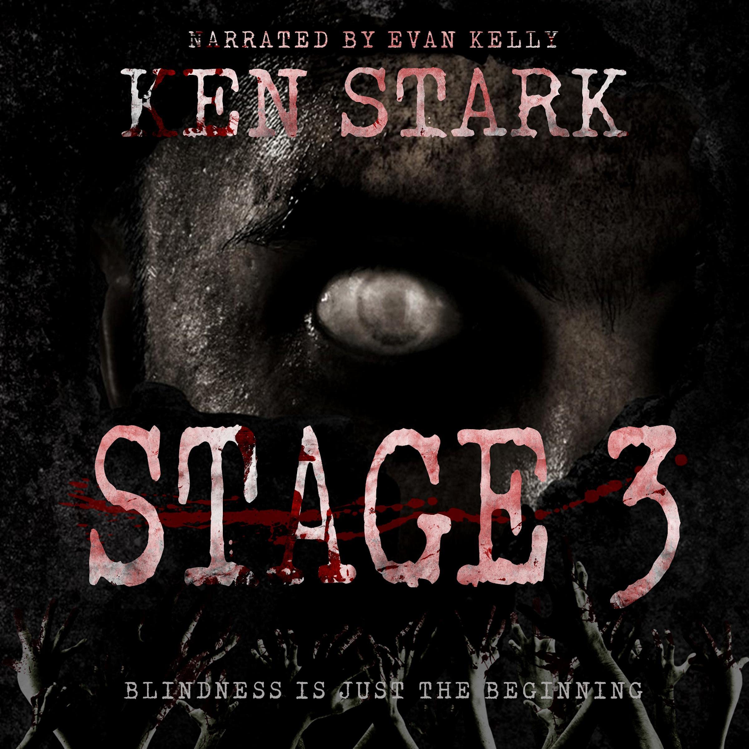 Cover art for Stage 3: A Post-Apocalyptic Zombie Thriller