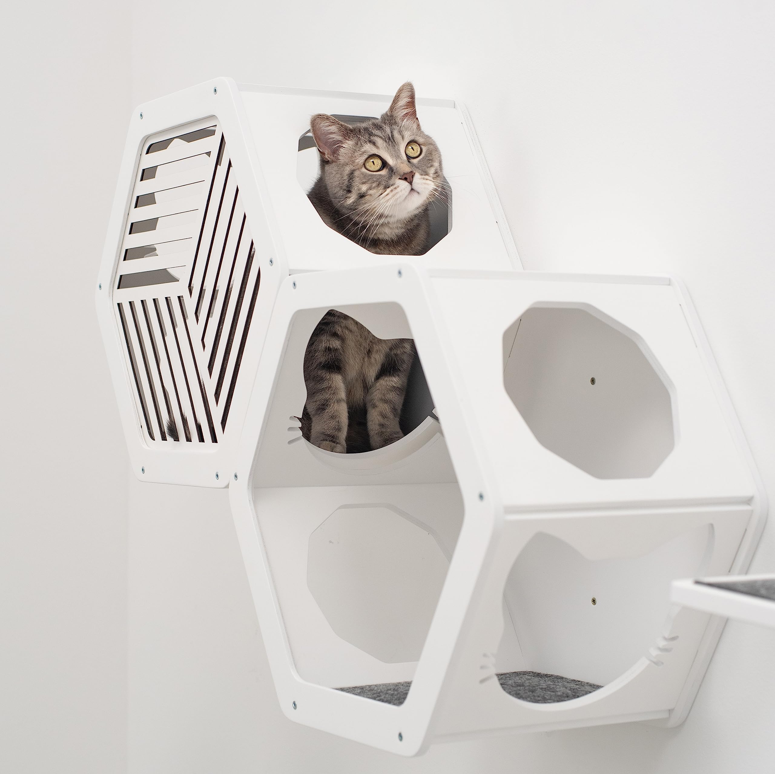 Wand-Katzenregale aus Holz, Katzen-Wandregale, Möbel – Katzenregal aus Holz, Wandmontage, Möbel – Hauskatzen, rustikale Dekoration, Katzenliebhaber-Geschenk