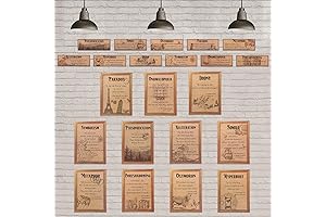 Harry Potter Classroom Vintage Style Educational Art Print Set, Zonon 22 Pieces...