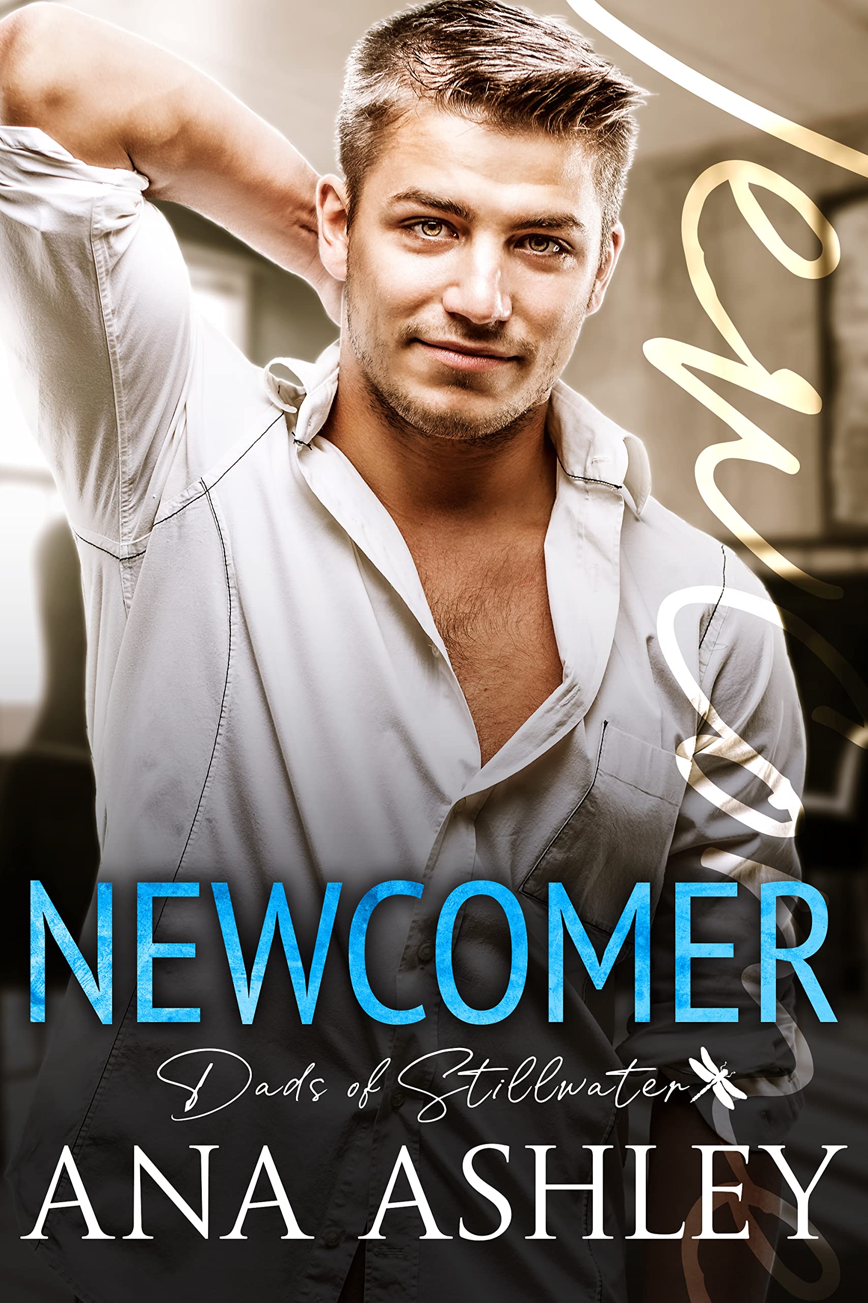 Newcomer (Dads of Stillwater Book 1)
