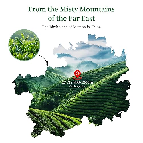 Miniatura 4 de LeafCharm Polvo de matcha de grado ceremonial, 3.52 onzas, lata resellable de 3.52 onzas, polvo de matcha sin azúcar, rico en antioxidantes