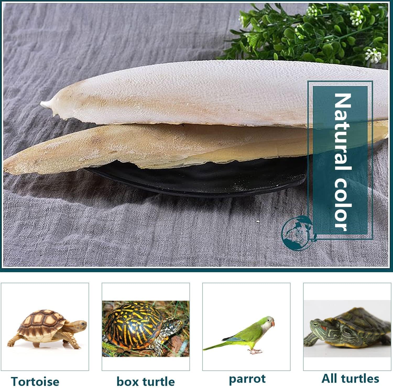 Newsmy 11 Pack Cuttlefish Bone for Birds, Natural Cuttlebone for Parrots and Budgies, Calcium Chew for Beak Care, Suitable for Snails and Tortoise [11Pcs 10CM] — view 6
