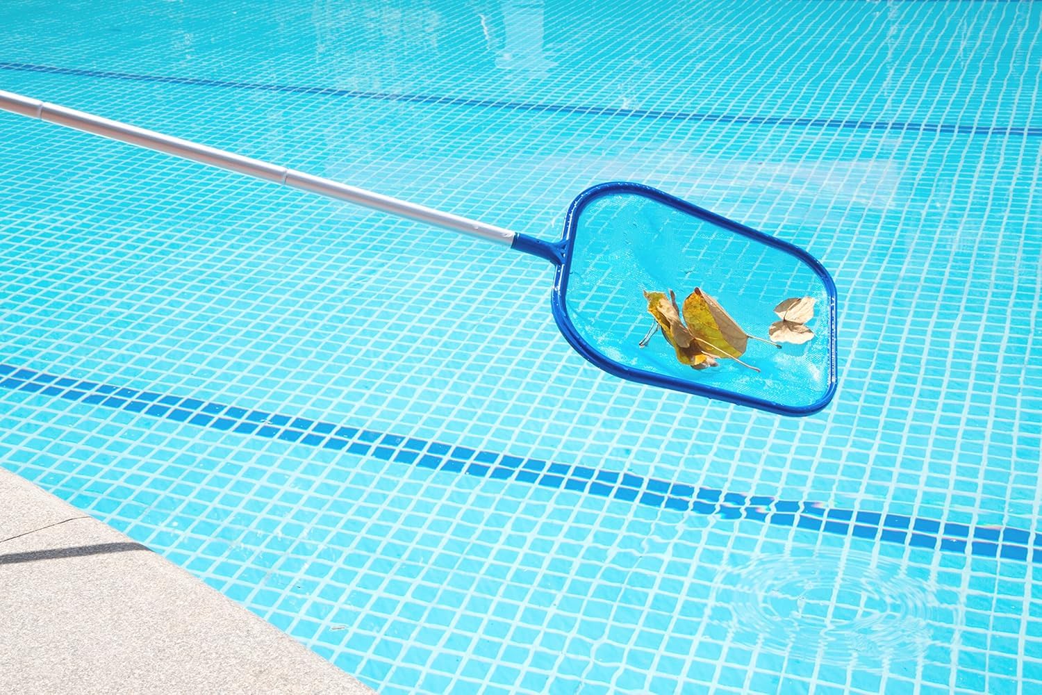 Skimmer de Piscina, Skimmer de Red de Mano para Limpieza de Piscinas Utilizado para Limpiar la Piscina,Estanque de jardín,Jacuzzi con 5 Varillas de Aluminio