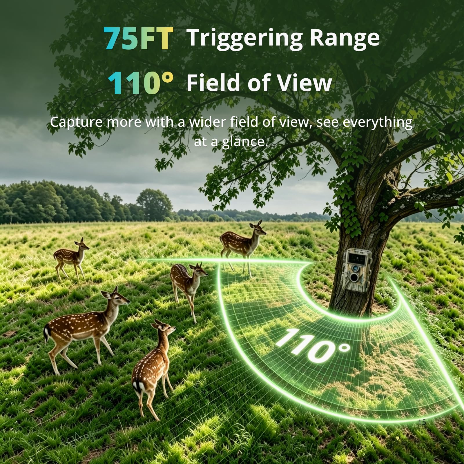 Amazon.com : BLAZEVIDEO Trail Camera 64MP 1296P Video, 940nm No