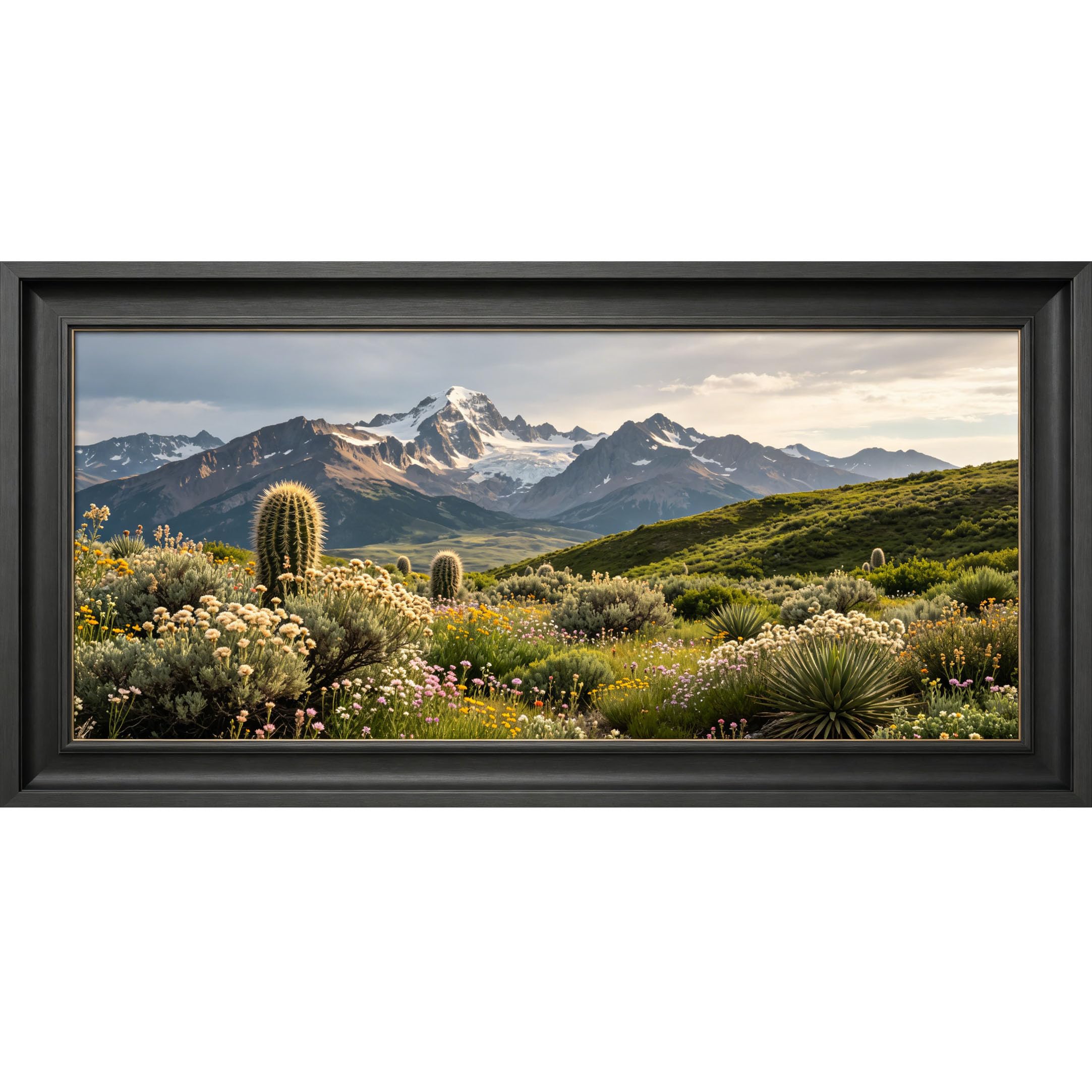 Agglomerix 3D Framed Wall Art Mountain Lake Botanical Succulent Floral Landscape Trompe l'oeil Large Size SelfAdhesive Removable Wall Decor Prints Artwork for Living Room Bedroom Office