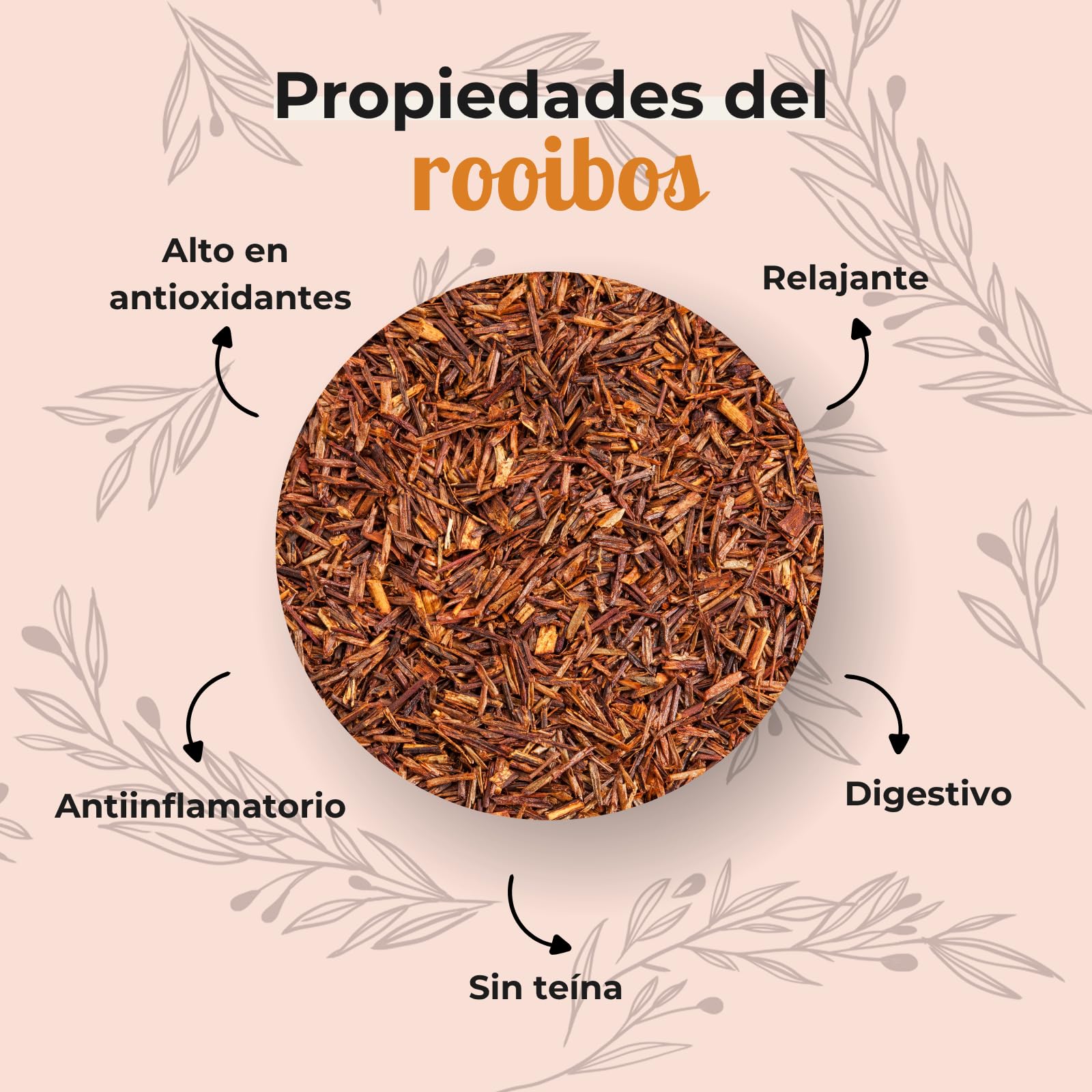 FUSIONATE Rooibos Cacao y Coco 150g Alternativa Chocolate Caliente Infusión Sin Cafeína