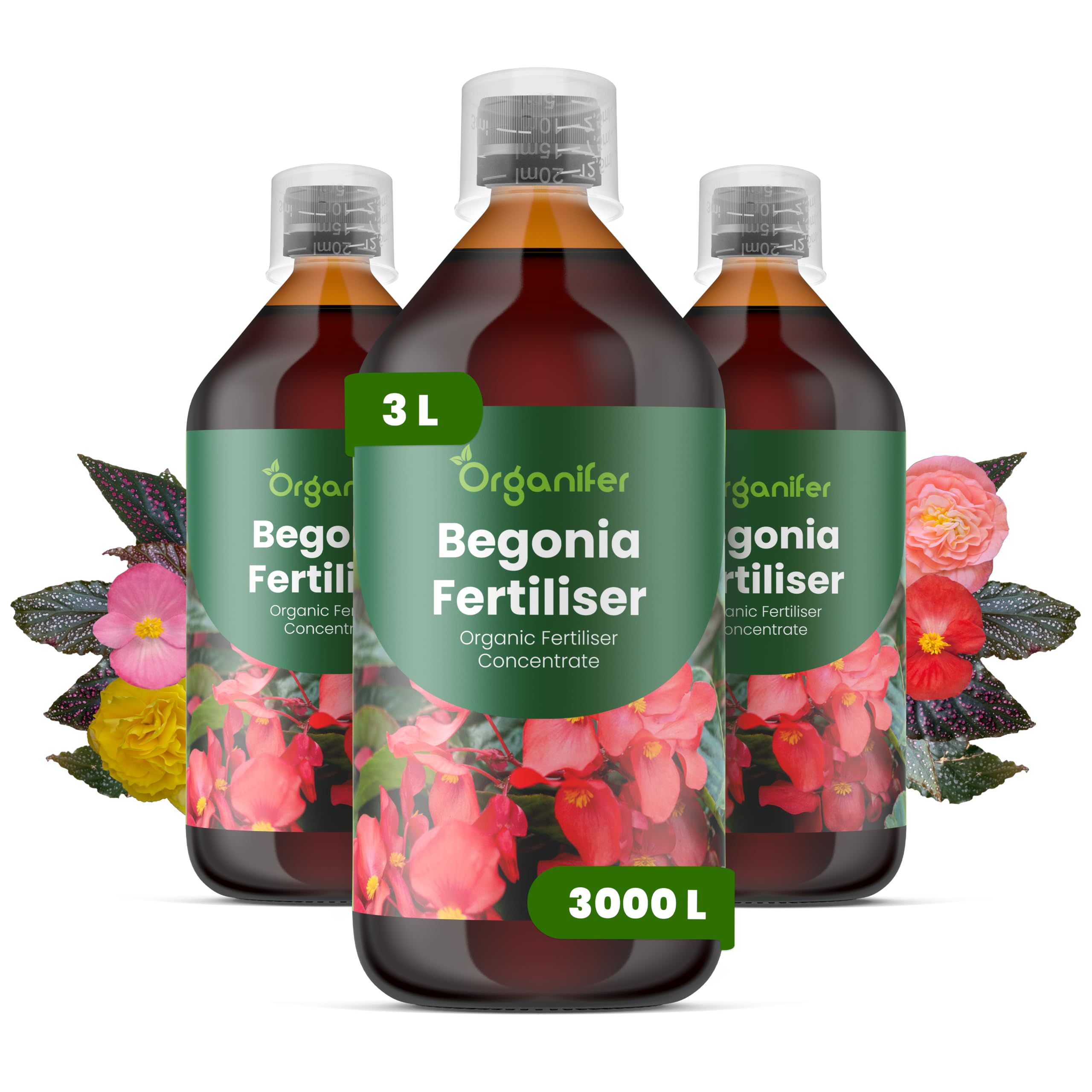 Begonien Flüssigdünger - 3x1L - NPK 2-1-8 | Flüssig-Pflanzendünger Für Üppige Blätter & Leuchtende Blüten - Fördert Wurzeln & Vitalität - Organifer