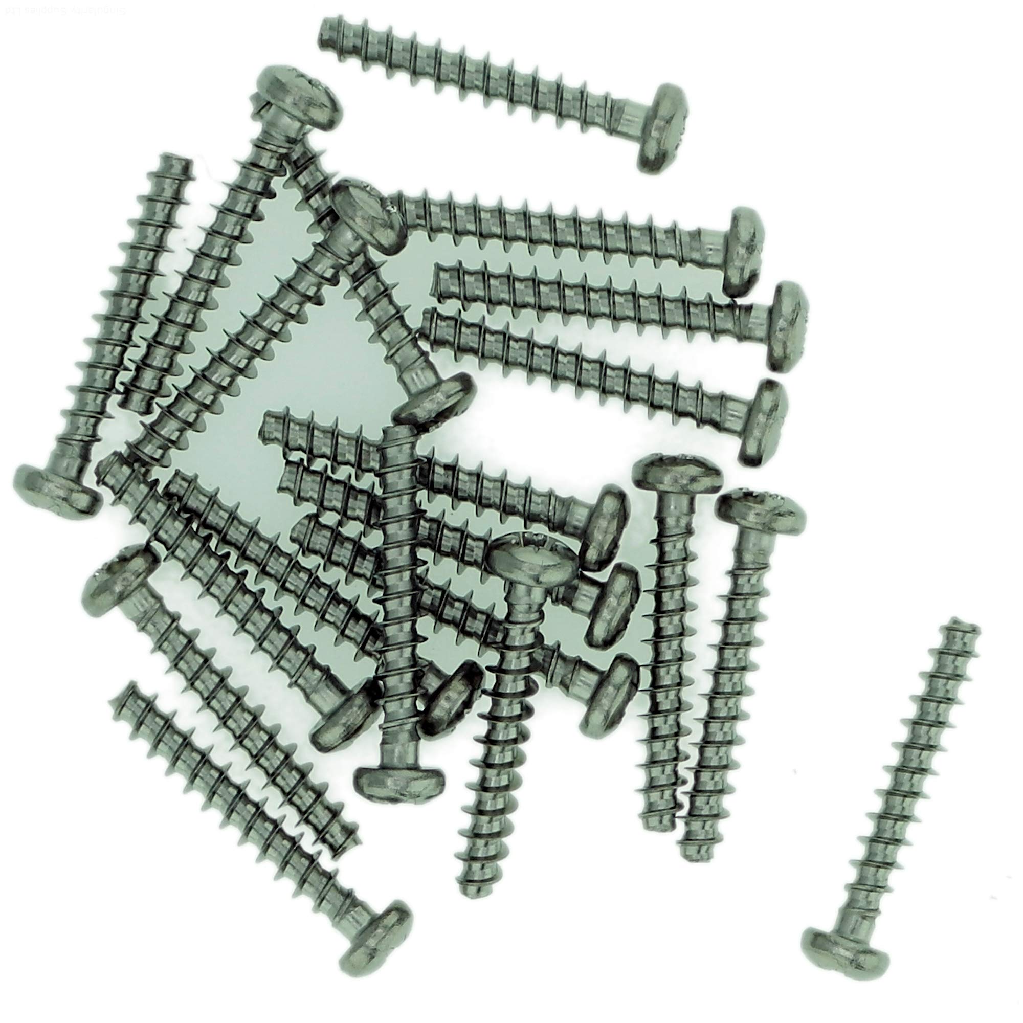Singularity Supplies D3 (3Mm X 8Mm) Pozi Pan Screws For Plastic - Stainless Steel (A2) (Pack Of 20)