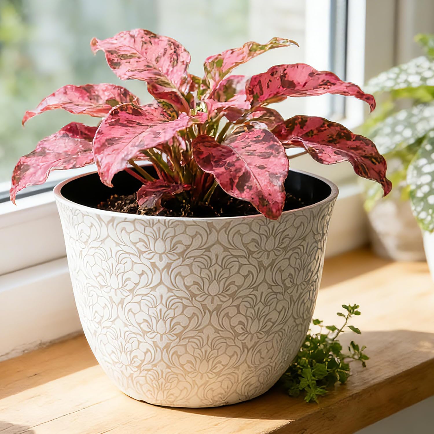 Worth Garden Plastic Round 8" Plant Pots for Indoor Plants - Set of 6 Multicolor Small Flower Pots W/Drainage Hole and Rubber Plug - Home Christmas Decorative planters Retro Floral Pattern