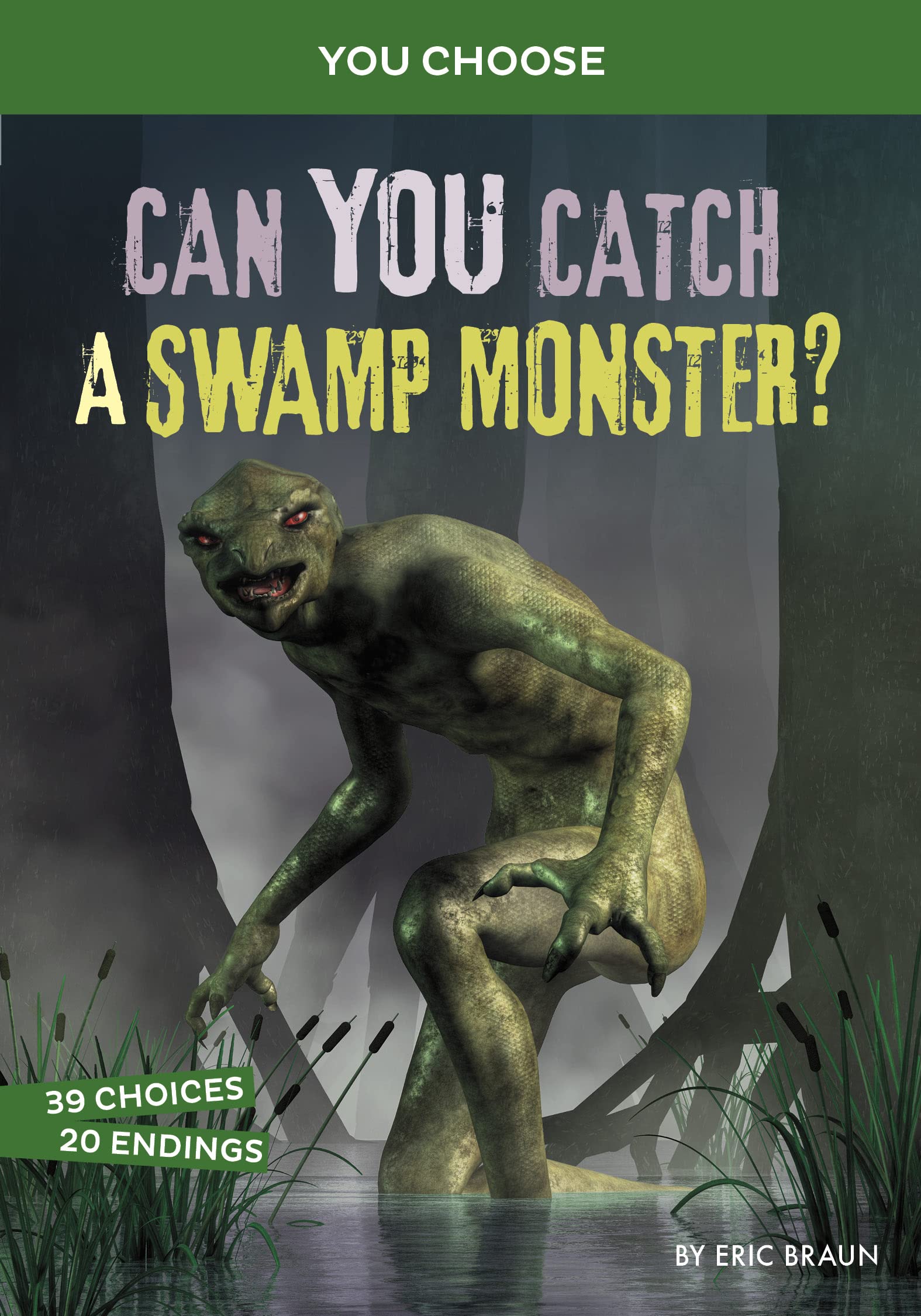Can You Catch a Swamp Monster?: An Interactive Monster Hunt [Paperback] Braun, Eric