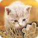 Kittens & Cats Jigsaw Puzzles for Kids - Cute, fun and Educational Cats & dogs Puzzle Game for Preschool Toddlers, Boys and Girls Ages 3-7 Years