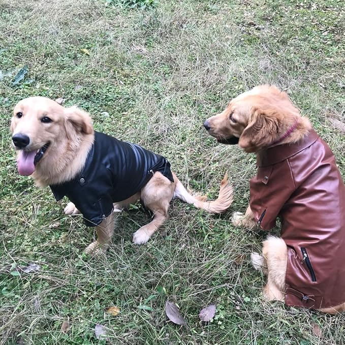 dog leather jacket amazon