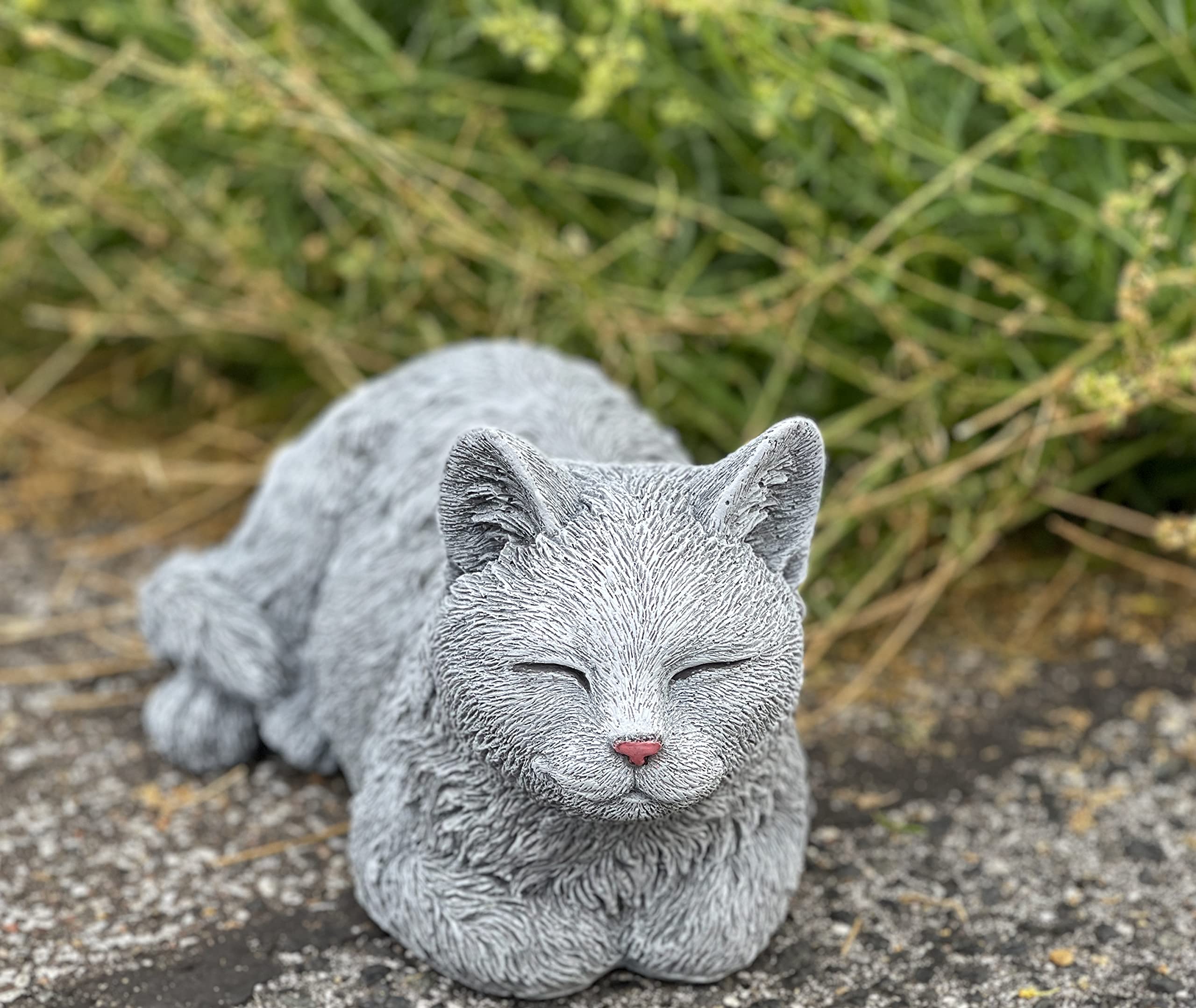Download Slapende Kat in de Natuur Kleurplaten online op Creative Fabrica