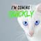 MeowDial – Call with Cat Sound
