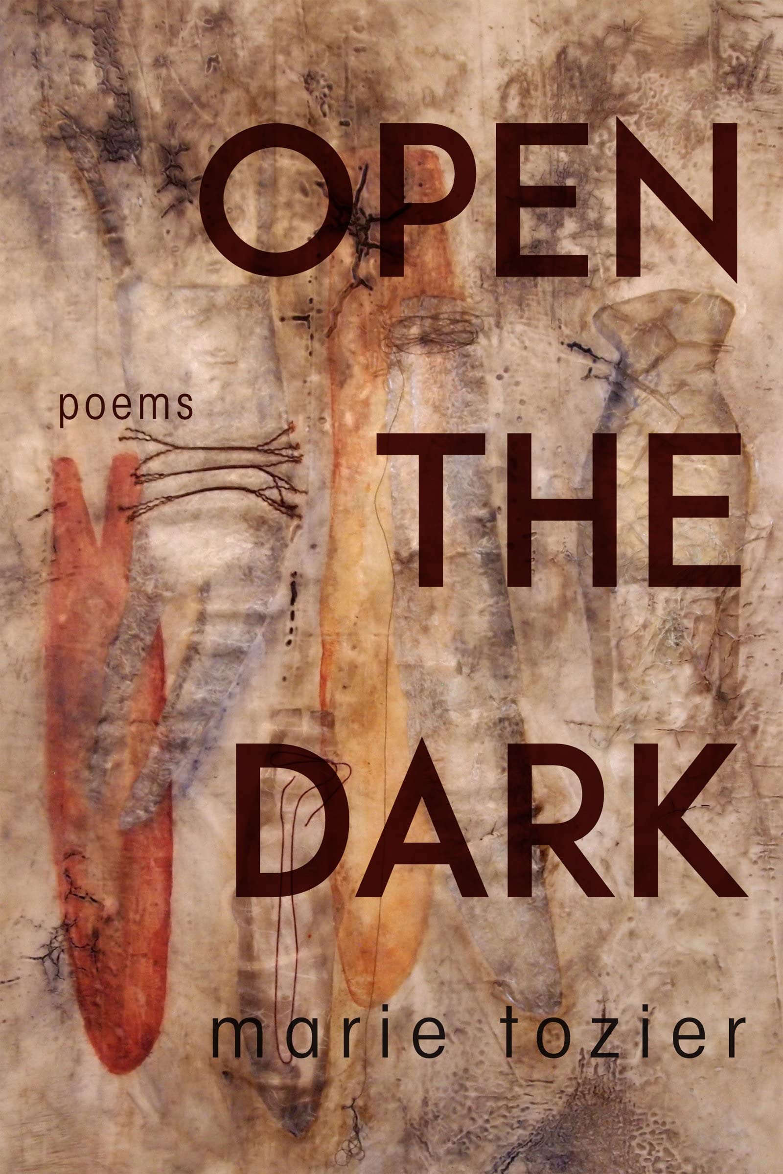Buy Open the Dark — BookShops.in