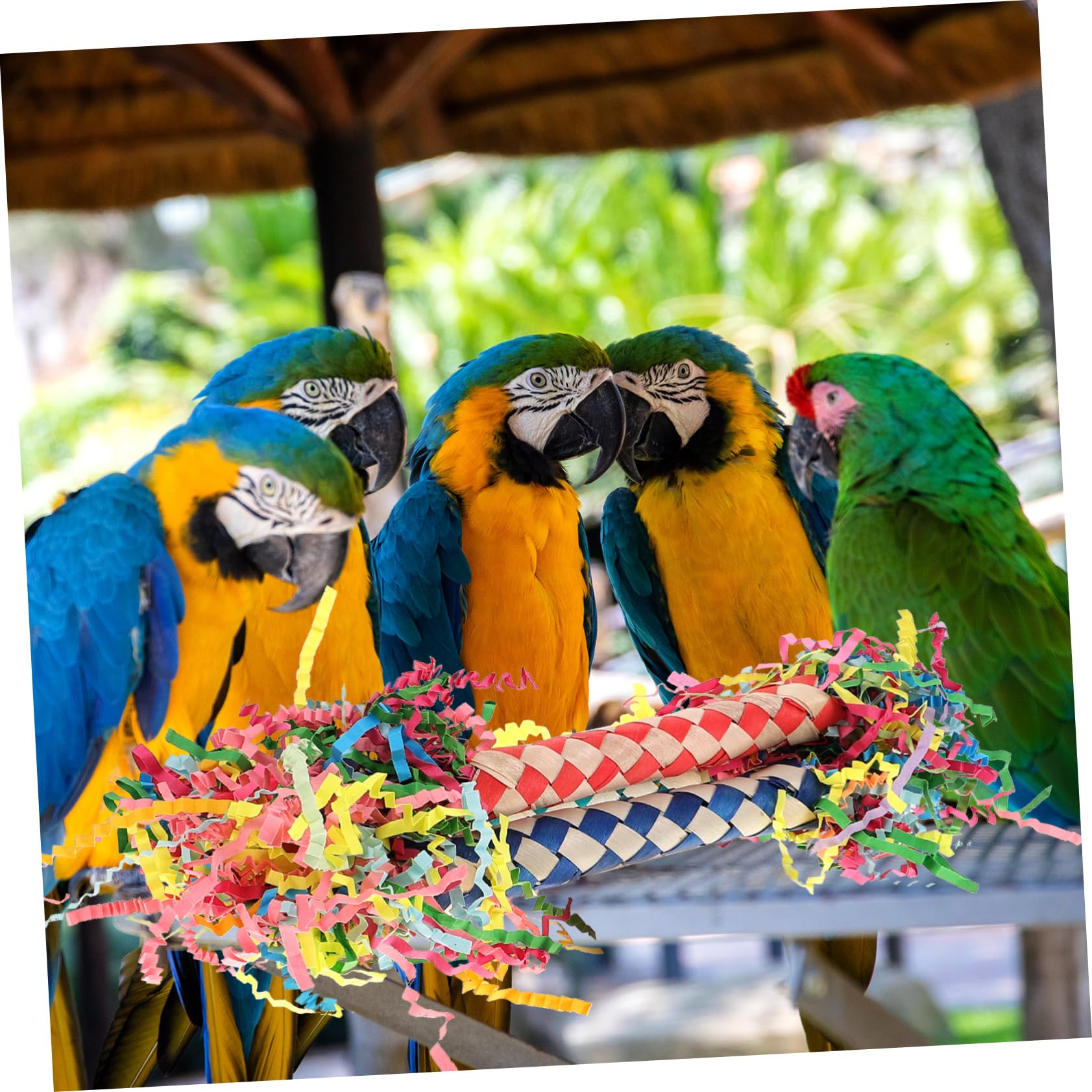 Beavorty 3pièces Jouets à Mâcher pour Oiseaux Accessoires De Décoration pour Perruches Et Perroquets Jouets pour Mastication