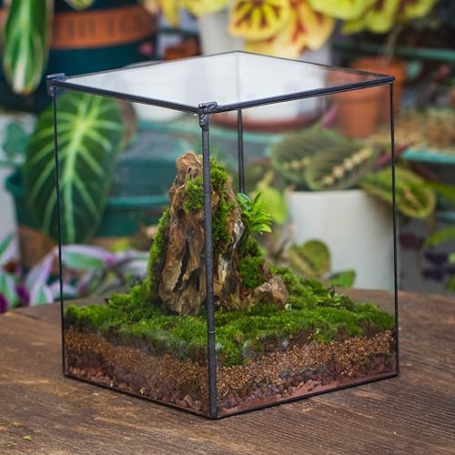Miniatura 3 de NCYP Terrario de vidrio cerrado con tapa, 8 x 8 x 10 pulgadas, maceta rectangular negra geométrica para suculentas, paisaje de mesa para el hogar,