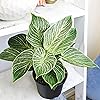 Product Photo 2