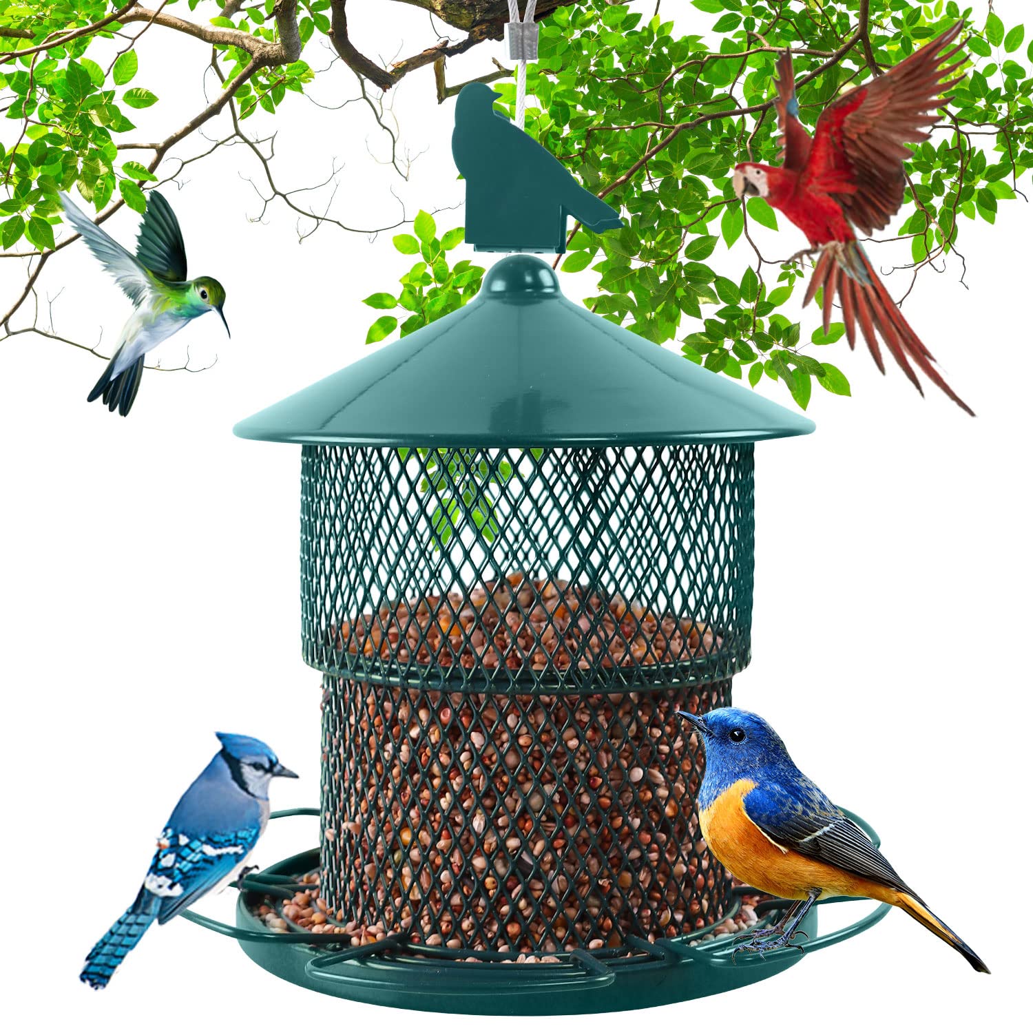 10 Best Large Sparrow Bird Feeders for Your Garden Hummingbirds Plus