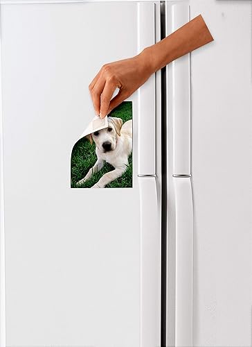 Miniatura 4 de Cuadros de montaje extraíbles Scotch