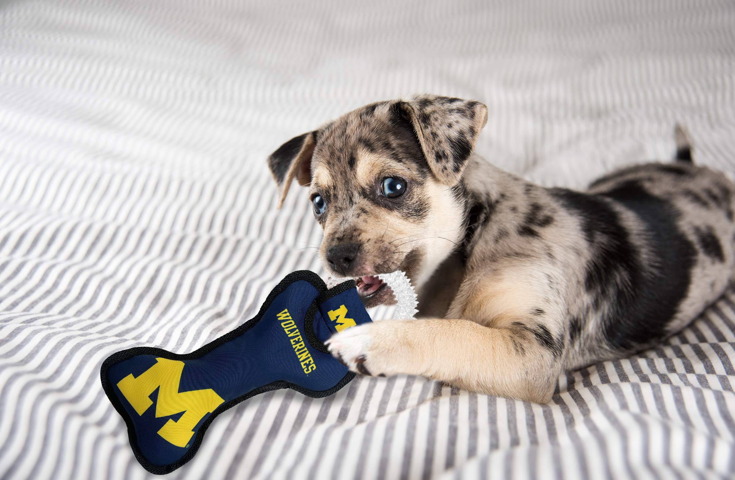 NCAA MICHIGAN WOLVERINES DENTAL DOG TUG TOY with SQUEAKER. TOUGH PET TOY for Healthy Fun Teething & Cleaning Pet's teeth & gum - Image 3