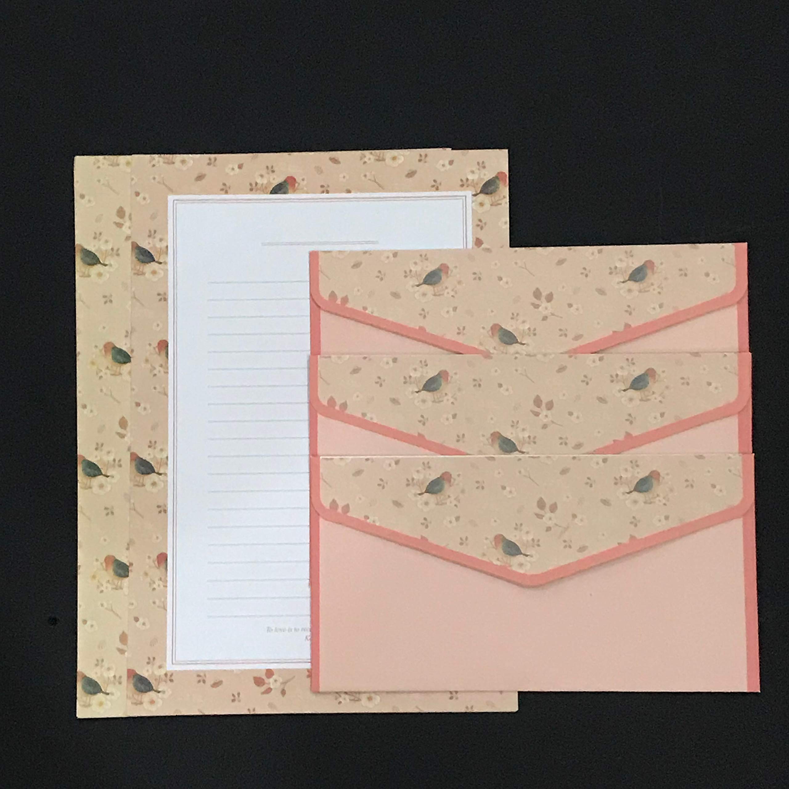 H166 - Juego de 48 letras de papel con 24 sobres