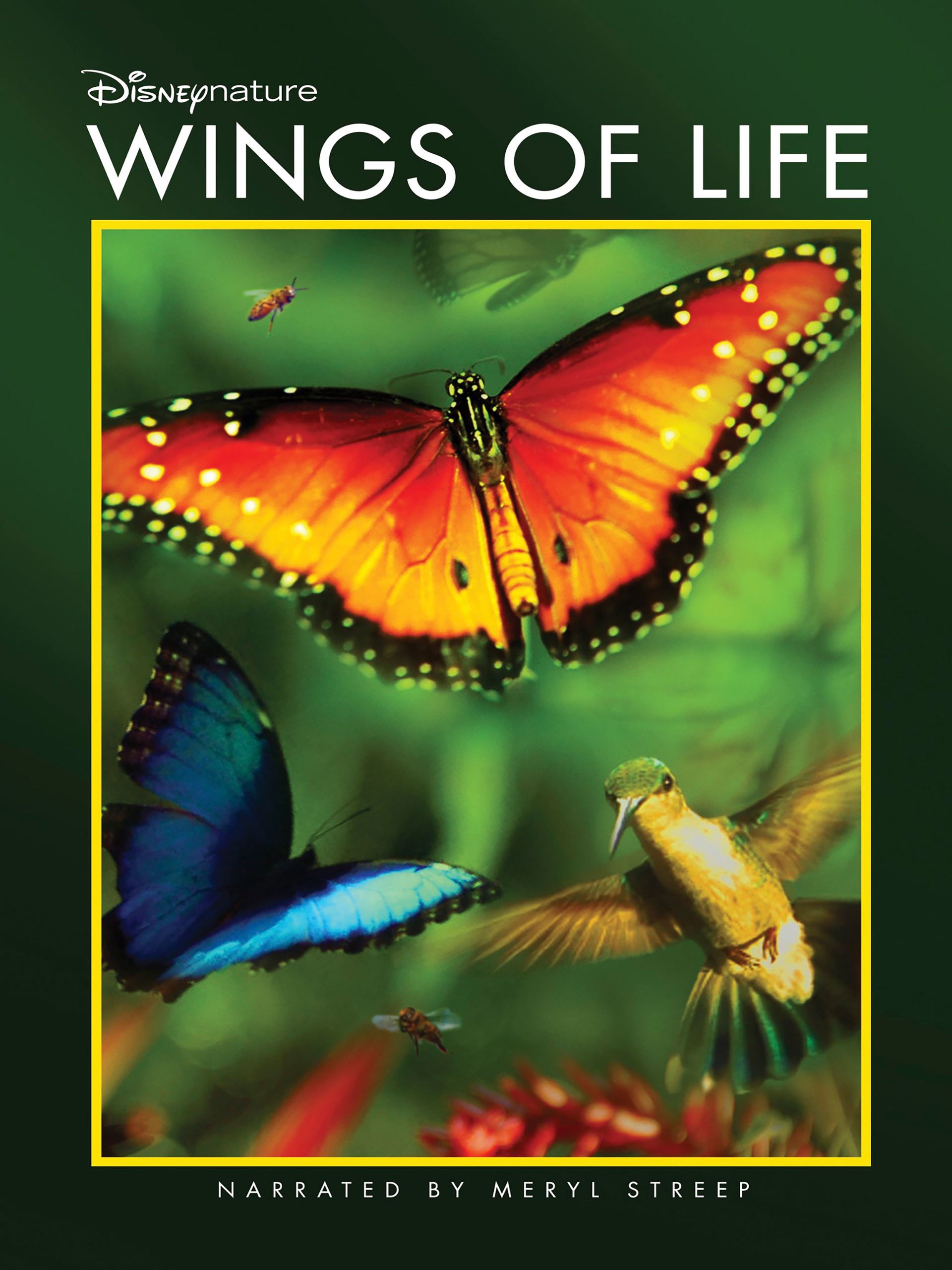 Disneynature Wings Of Life