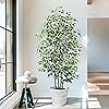 Product Photo 1