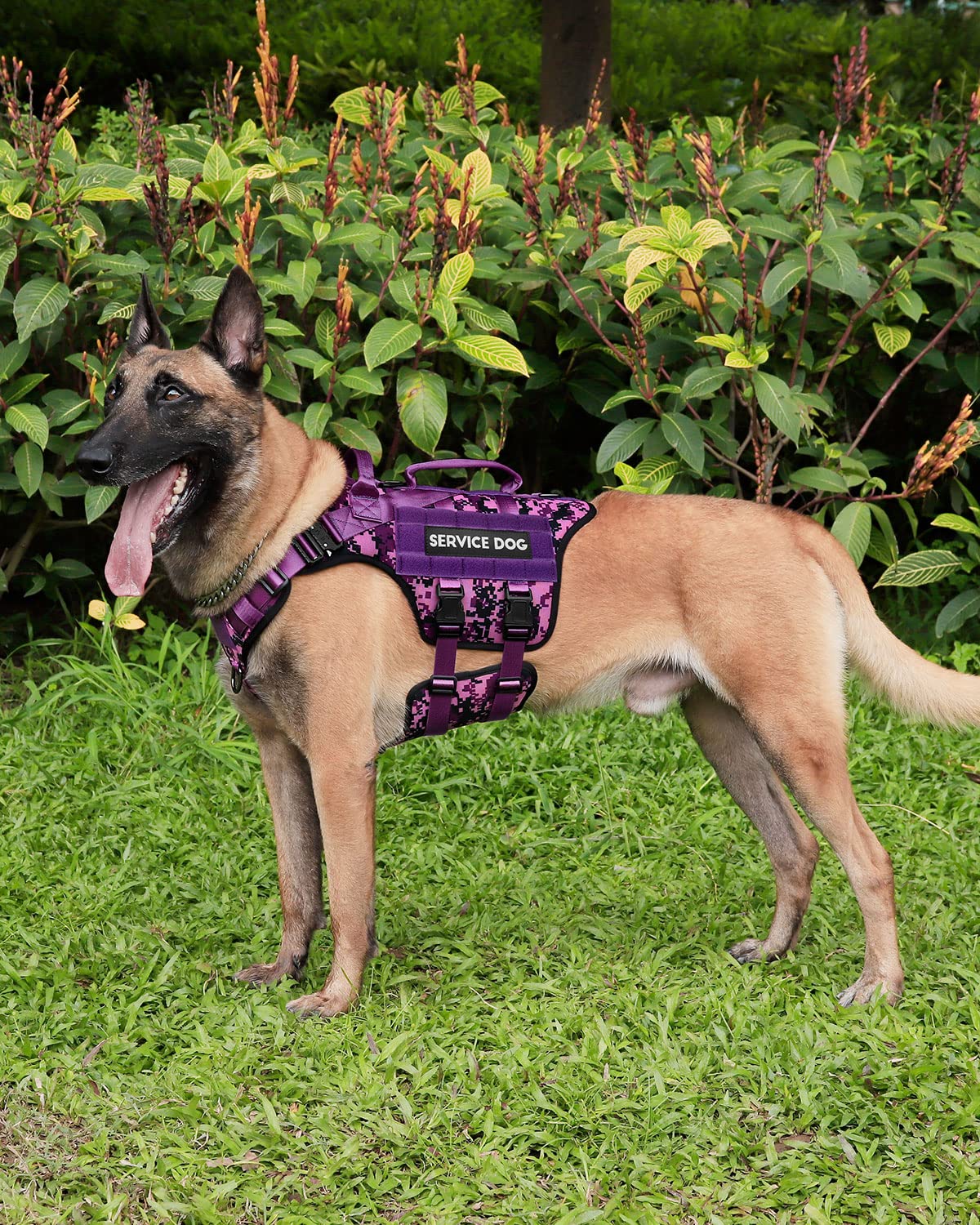 PETNANNY - Arnés táctico para perros de servicio, chaleco para perros de raza grande, panel de velcro para parches de perros de servicio, chaleco para perros de trabajo con asa para caminar,