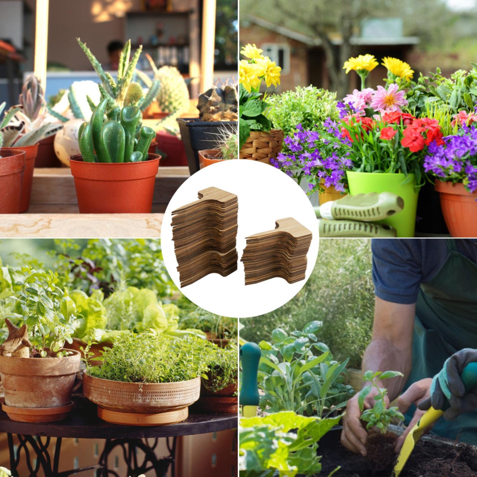 Garden Pack – 50 Etichette Per Piante In Bambù Naturale Con Penna A Doppia Punta, Ideali Per Orto, Giardino E Fiori Da Interno