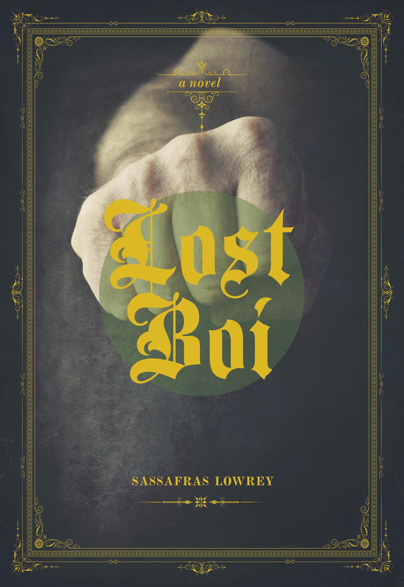 Lost Boi by Sassafras Lowrey PAPERBACK 9781551525815