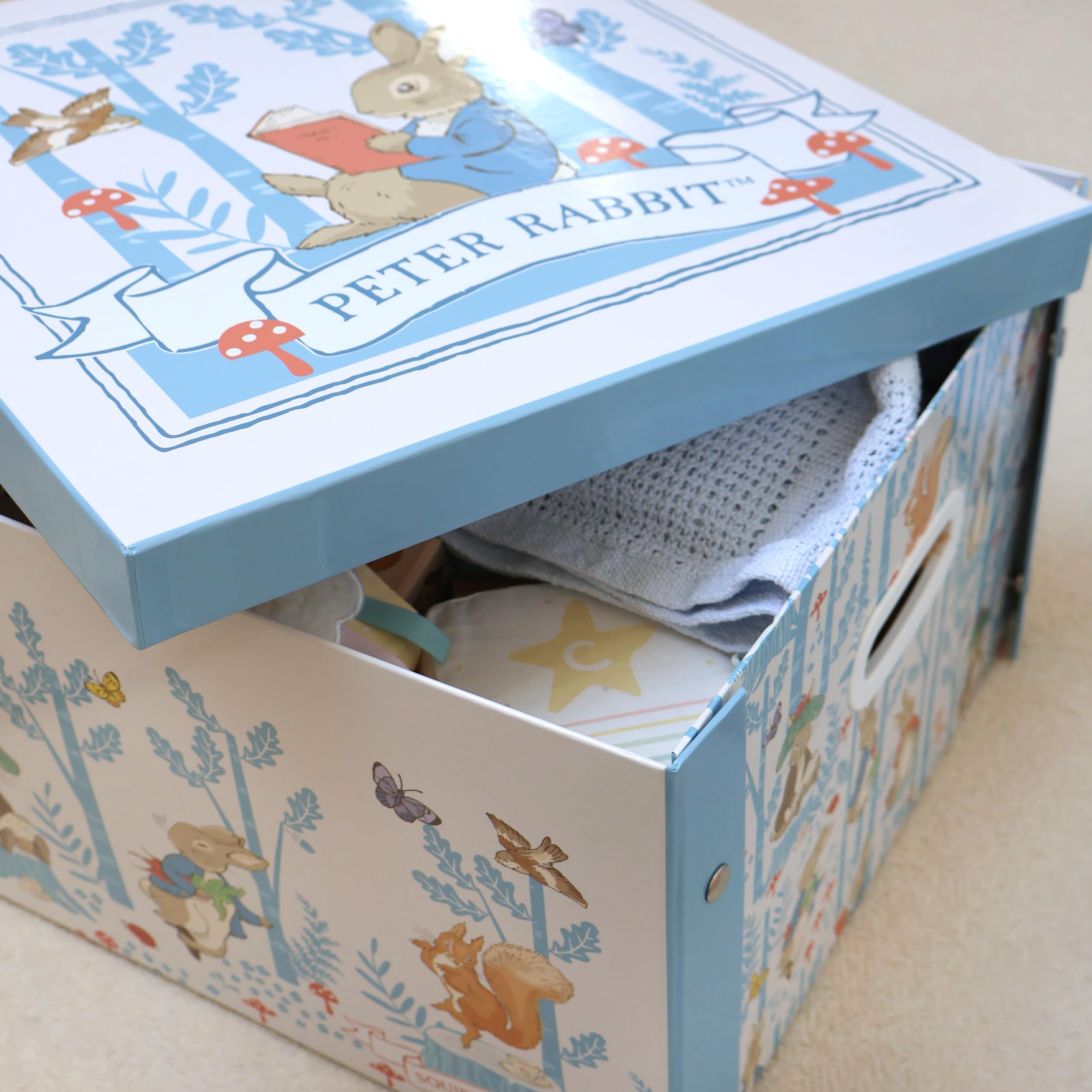 Peter Rabbit Collapsible Storage Box with Lid & Handles, Multicoloured ...